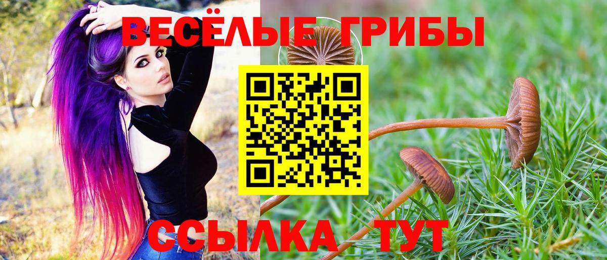 Псилоцибиновые грибы мухоморы  Вход с VPN  Шахты 