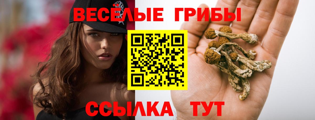 Псилоцибиновые грибы GOLDEN TEACHER Шахты